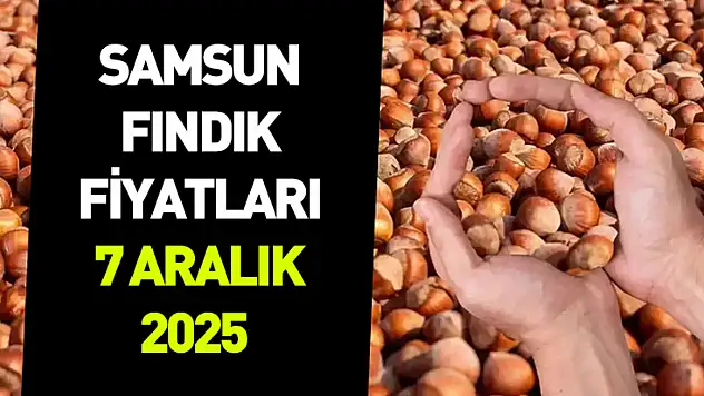 Samsun 7 Aralık 2025 Fındık Fiyatları | Piyasada Denge Arayışı Güçleniyor