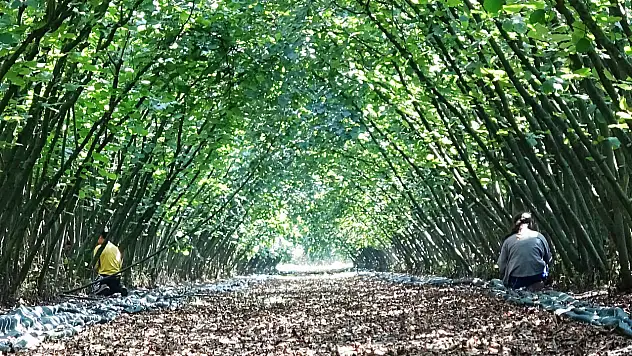 Samsun'a 8,7 Milyon Liralık Hibe Desteği