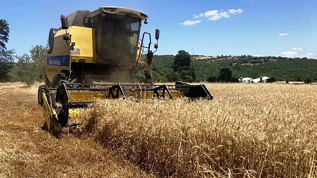 Samsun bitkisel üretimde zirveyi hedefliyor