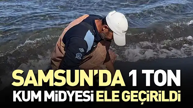 Samsun'da 1 Ton Kum Midyesi Ele Geçirildi