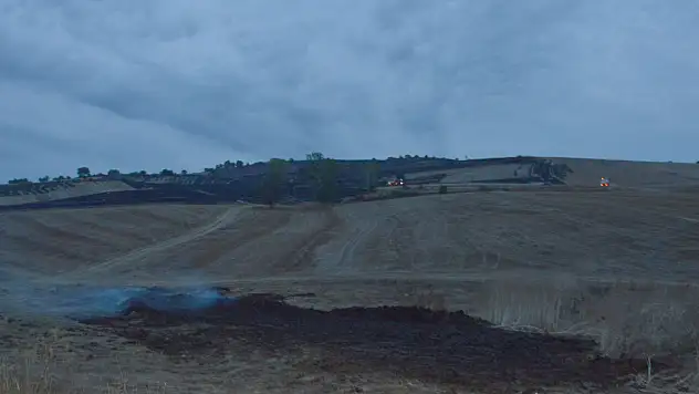 Samsun'da 150 dekar alan zarar gördü