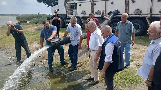 Samsun'da 2 Milyon 341 Bin Yavru Sazan Doğal Su Kaynaklarına Bırakıldı