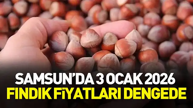 Samsun'da 3 Ocak 2026 Fındık Fiyatları Dengede