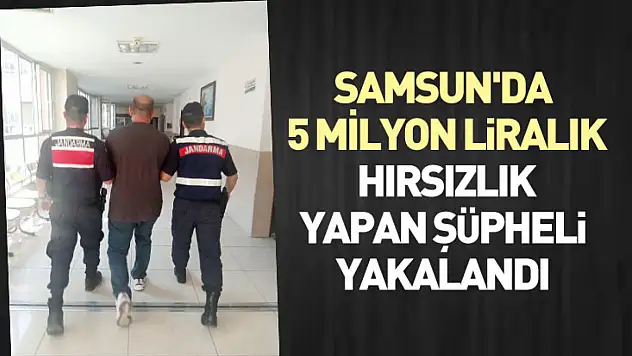 Samsun'da 5 milyon liralık hırsızlık yapan şüpheli yakalandı
