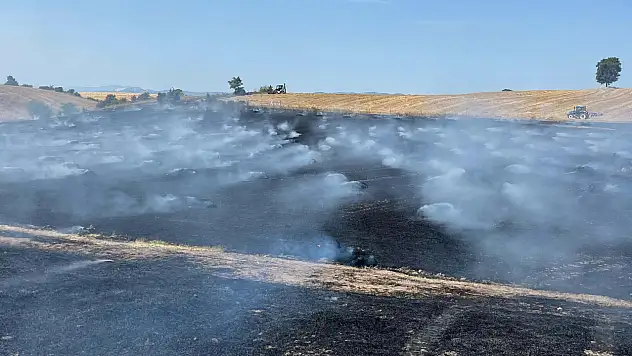 Samsun'da Anız Yangınları Tarlaları Kül Etti