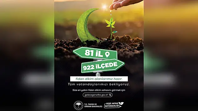 Samsun'da fidan dikim alanları açıklandı