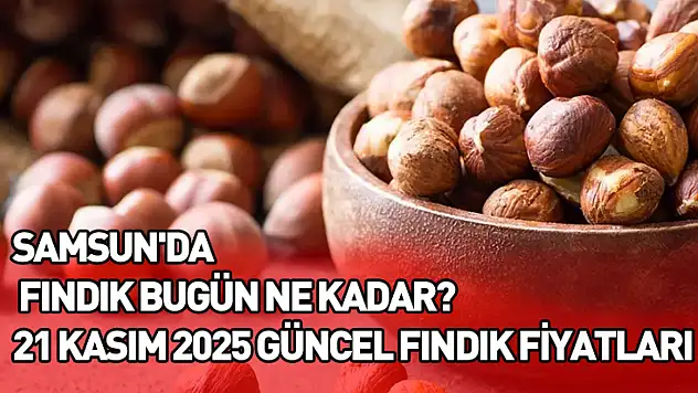 Samsun'da Fındık Bugün Ne Kadar? 21 Kasım 2025 Güncel Fındık Fiyatları