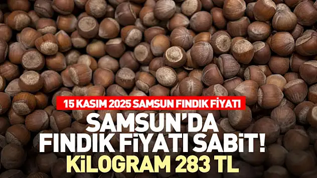 Samsun'da fındık fiyatı sabit! Kilogram 283 TL - 15 Kasım 2025 Samsun Fındık Fiyatı