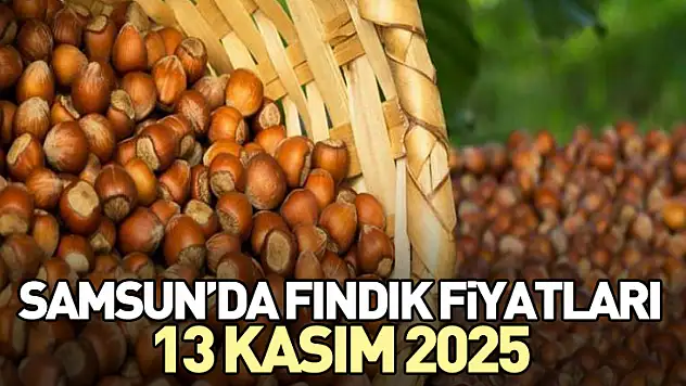 Samsun'da Fındık Fiyatları 13 Kasım 2025