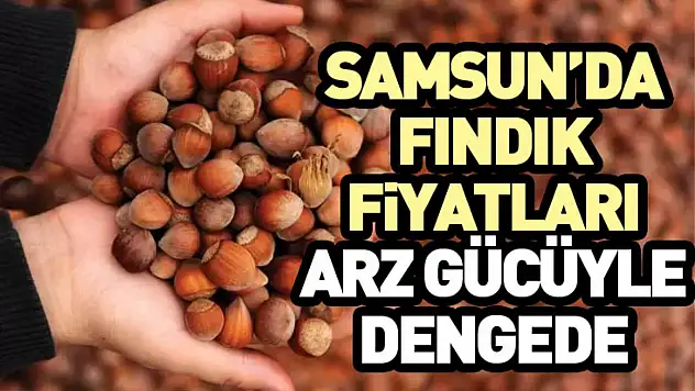 Samsun'da Fındık Fiyatları Arz Gücüyle Dengede