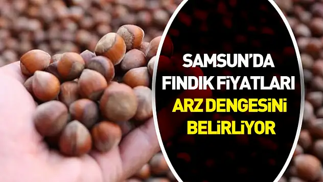 Samsun'da Fındık Fiyatları Arz Dengesini Belirliyor