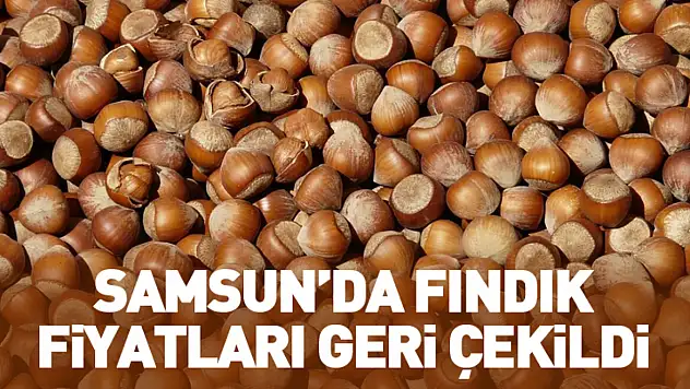 27 Ocak Samsun'da Fındık Fiyatları | Satışlar Yavaşladı
