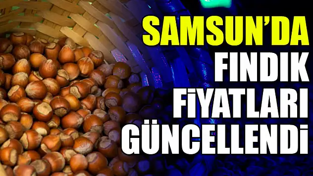 Samsun'da Fındık Fiyatları Güncellendi