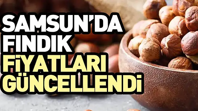 Samsun'da Fındık Fiyatları Güncellendi