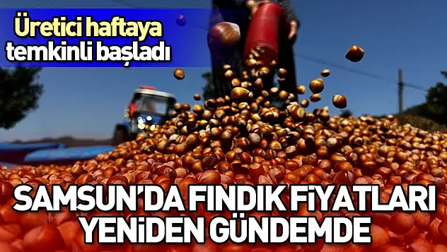 Samsun'da fındık fiyatları yeniden gündemde: Üretici haftaya temkinli başladı