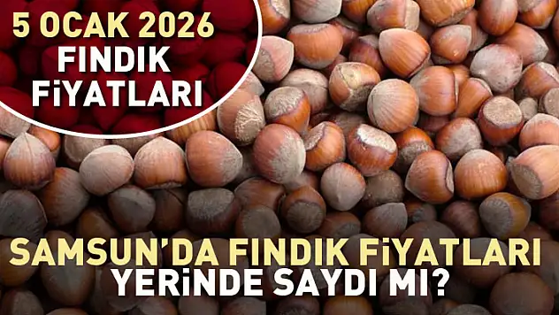 Samsun'da Fındık Fiyatları Yerinde Saydı mı? İşte Güncel Tablo