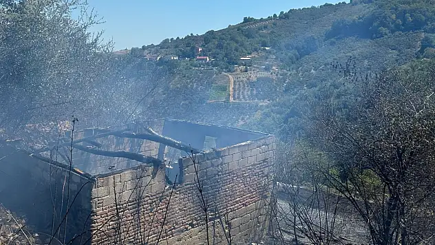 Samsun'da fındıklıkta korkutan yangın