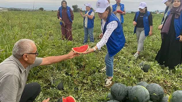 Samsun'da Gençlerden Gönüllü Hasat