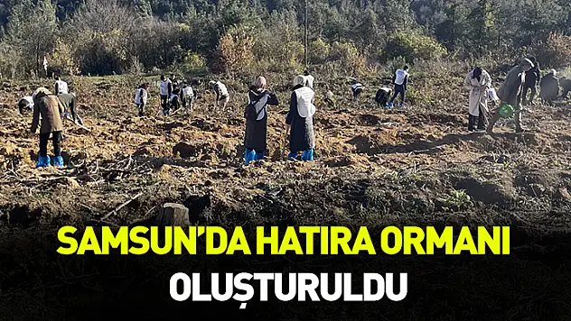 Samsun'da hatıra ormanı oluşturuldu