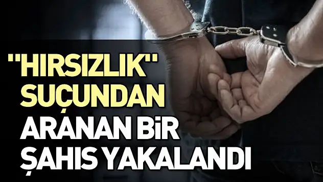 Samsun'da 'hırsızlık' suçundan aranan bir şahıs yakalandı