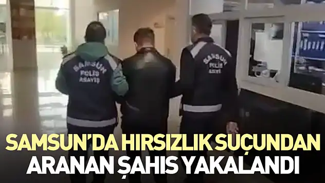 Samsun'da Hırsızlık Suçundan Aranan Şahıs Yakalandı