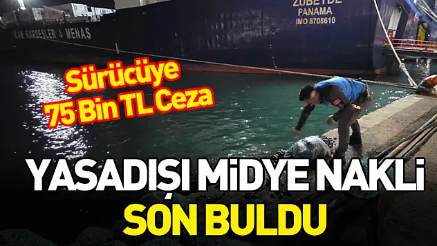 Samsun'da Kamyonette Kaçak Midye Operasyonu: 300 Kilo Ele Geçirildi