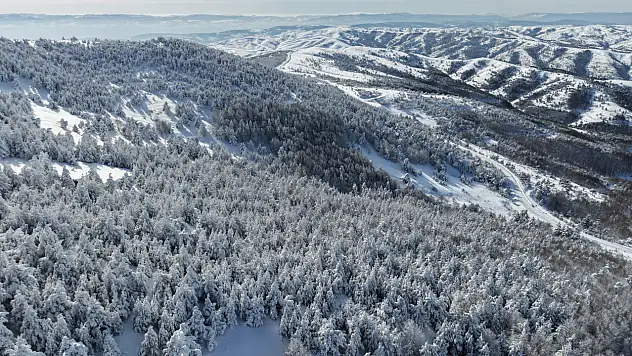 Samsun'da karla kaplanan 1650 rakımlı Dürtmen Dağı dronla görüntülendi