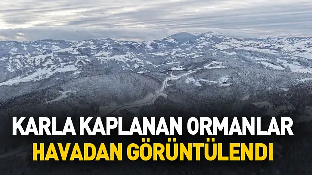 Samsun'da karla kaplanan ormanlar havadan görüntülendi