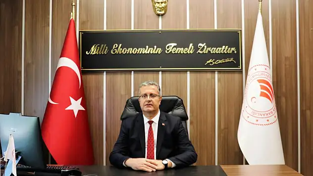 Samsun'da Mısır Üreticilerine Kahverengi Kokarca Uyarısı