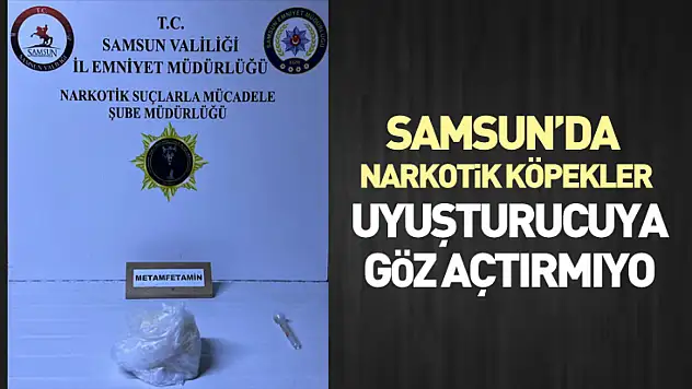 Samsun'da Narkotik köpekler uyuşturucuya göz açtırmıyor