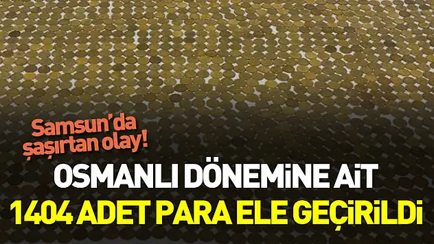 Samsun'da Osmanlı dönemine ait 1404 para ele geçirildi