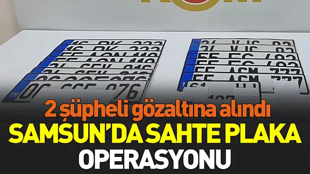 Samsun'da sahte plaka operasyonu: 2 gözaltı