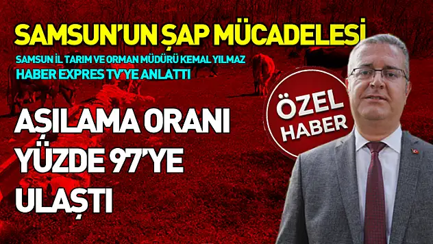Samsun'da şap tehlikesinin güncel durumu nedir?