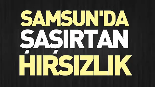 Samsun'da Şaşırtan Hırsızlık
