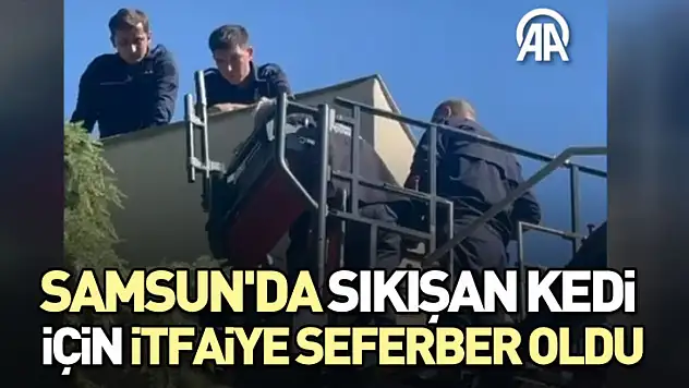 Samsun'da Sıkışan Kedi İçin İtfaiye Seferber Oldu