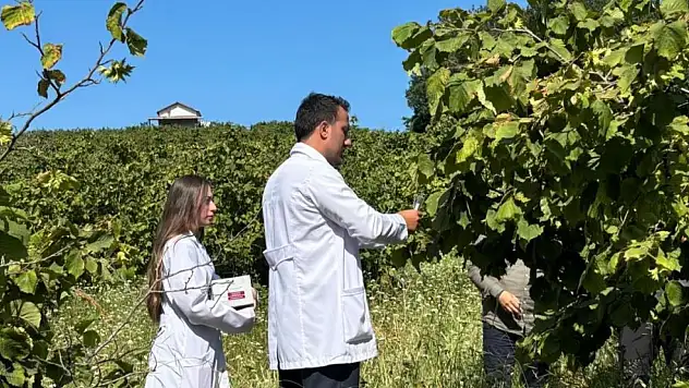 Samsun'da tarıma biyolojik destek!