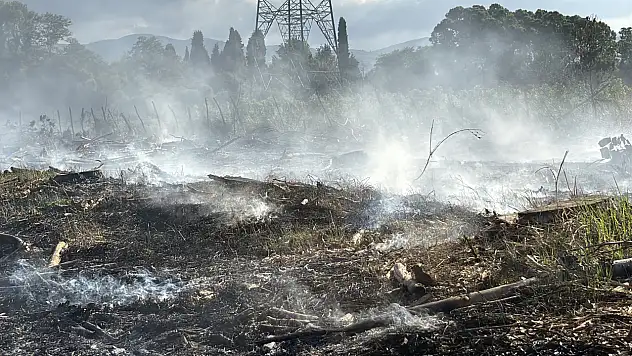 Samsun'da tarlada yangın çıktı