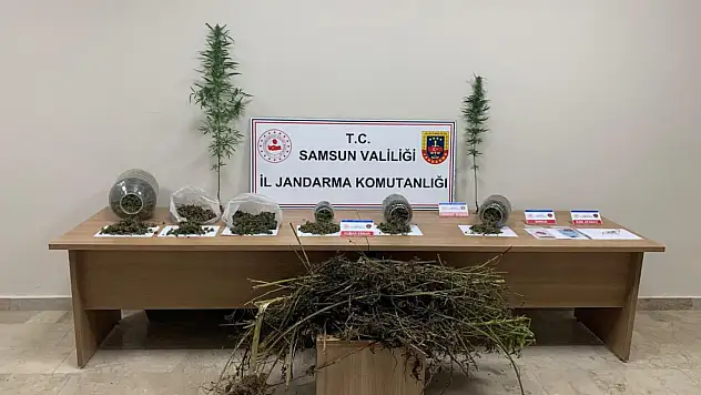 Samsun'da uyuşturucu operasyonu : 1 gözaltı