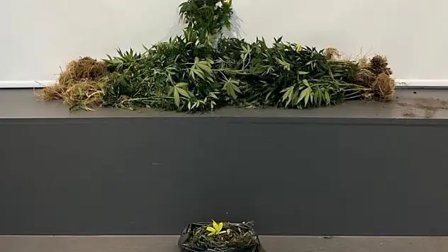 Samsun'da Uyuşturucu Tacirlerine Geçit Yok