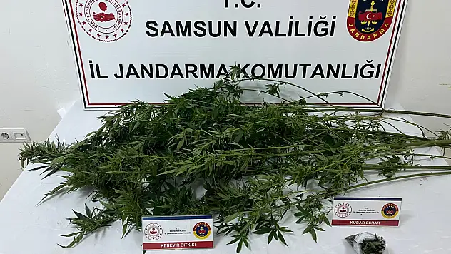 Samsun'da uyuşturucuya darbe
