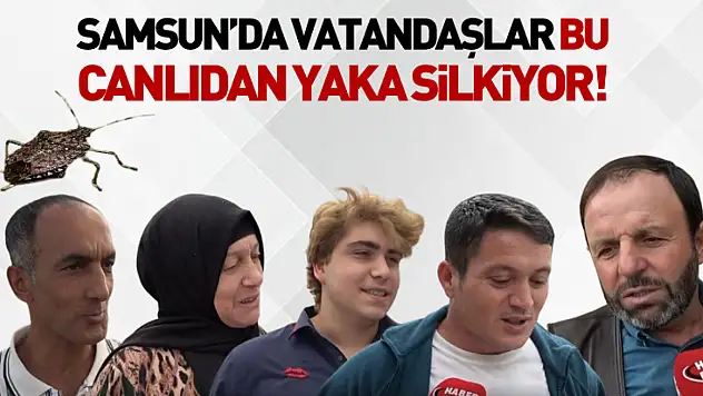 Samsun'da Vatandaşlar Bu Canlıdan yaka silkiyor!