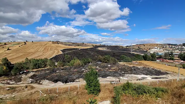 Samsun'da yaklaşık 620 dekar tarım arazisi zarar gördü
