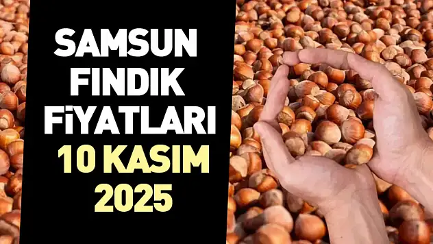 Samsun Fındık Fiyatları 10 Kasım 2025: Piyasa Yukarı Yönlü Seyrini Koruyor