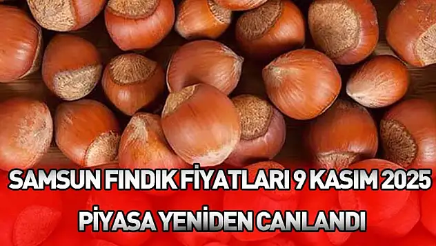 Samsun Fındık Fiyatları 9 Kasım 2025: Piyasa Yeniden Canlandı