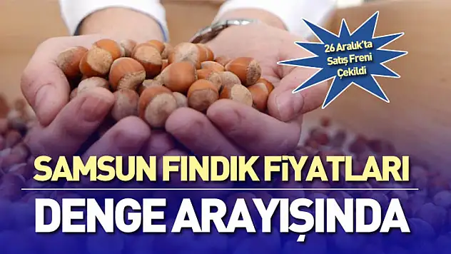 Samsun Fındık Fiyatları Denge Arayışında | 26 Aralık'ta Satış Freni Çekildi