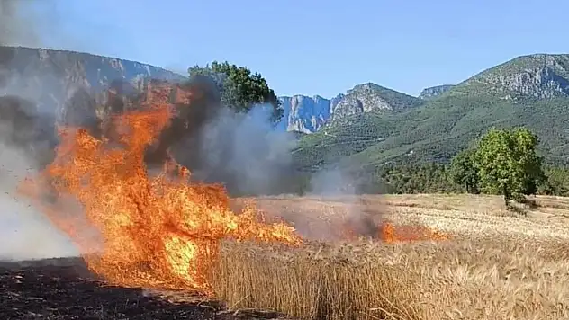 Samsun İtfaiyesi'nden müthiş başarı!