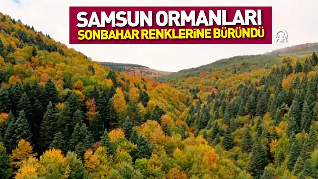 Samsun Ormanları Sonbahar Renklerine Büründü