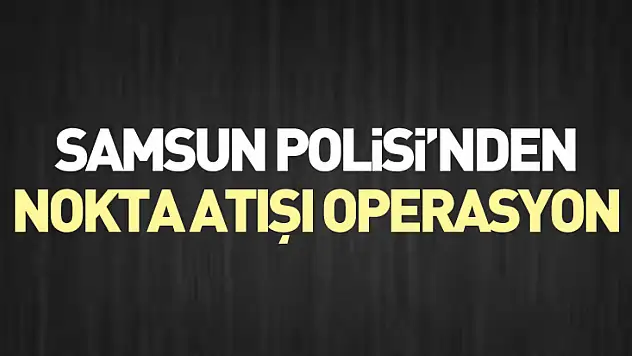 Samsun Polisi'nden Nokta Atışı Operasyon