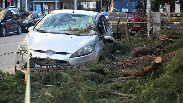 Samsun'u Fırtına Vurdu: Ağaçlar Devrildi, Araçlar Ezildi, Çatılar Havada Uçtu