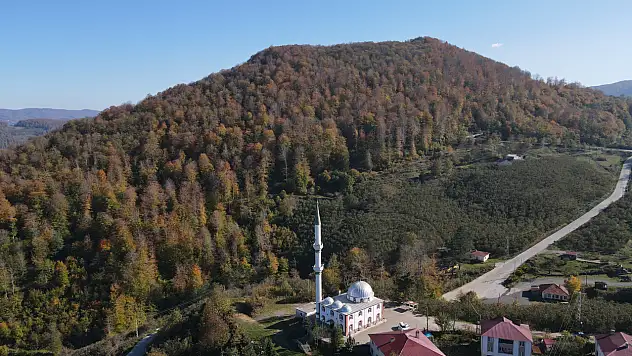 Sarı, Kahve, Yeşil… Nebiyan Dağı Sonbahara Büründü